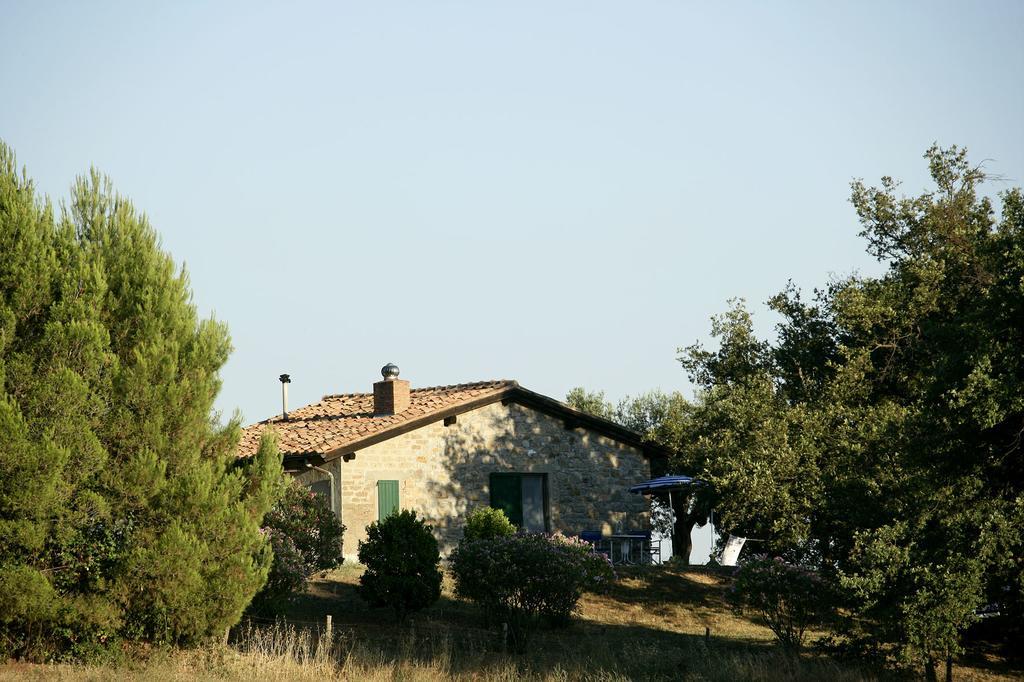 Fattoria Poggio Foco Villa Manciano Room photo
