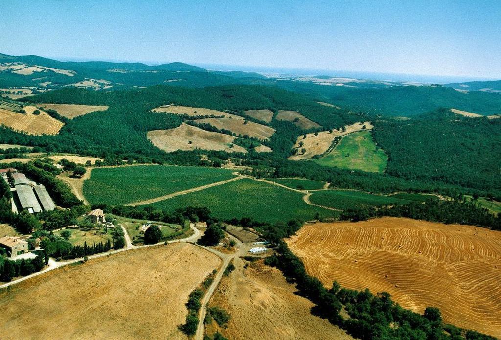Fattoria Poggio Foco Villa Manciano Exterior photo