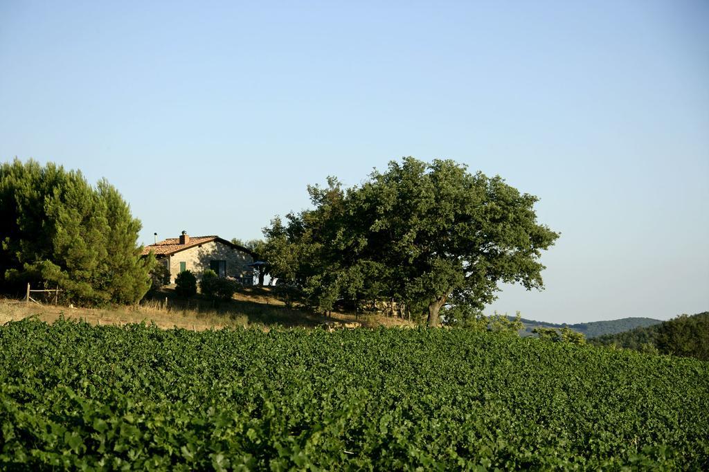 Fattoria Poggio Foco Villa Manciano Room photo